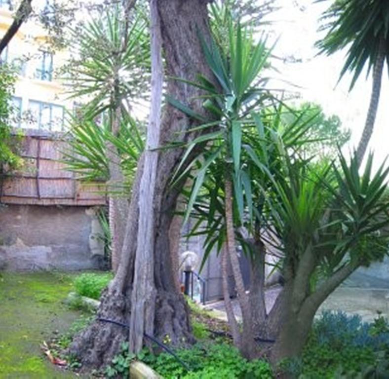 Villa Orchidea Sorrente Chambre photo
